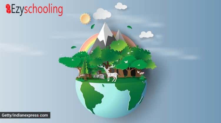 World Environment Day- Is It Too Late Yet?