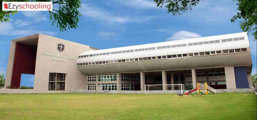 Salvation Tree School