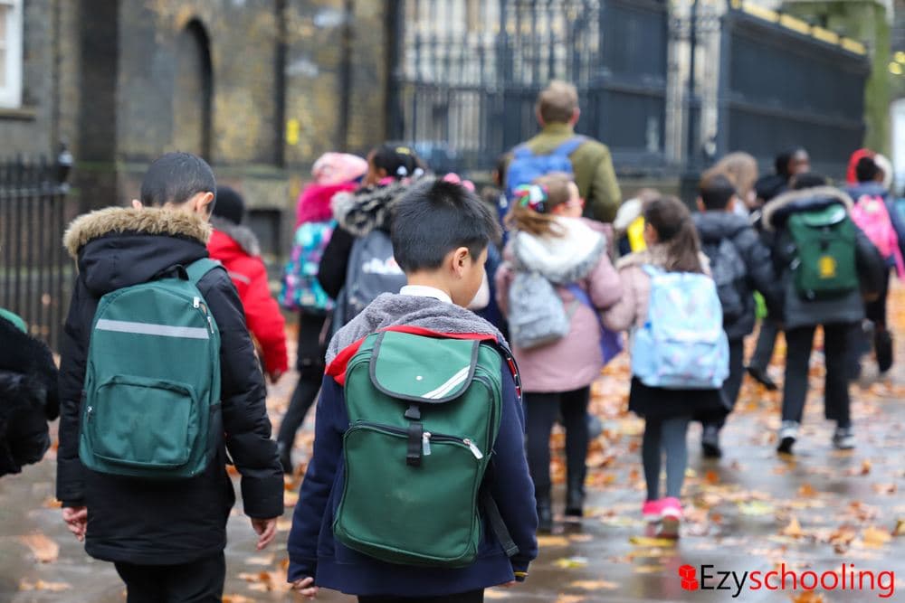 Primary and Middle Schools in Kashmir Reopen from Monday