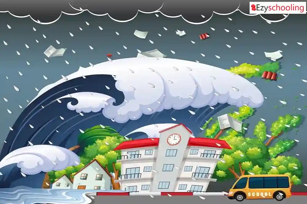 Schools Closed for Two Days in Parts of Odisha amid Downpour