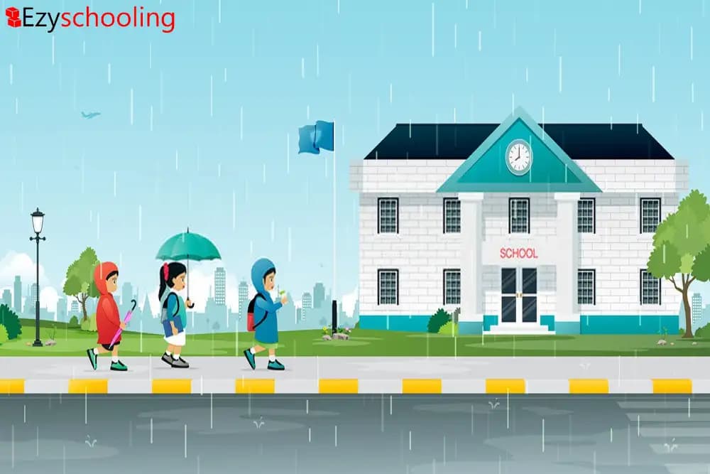 Schools in Puducherry, Karaikal to be closed on November 19 due to Heavy Rainfall