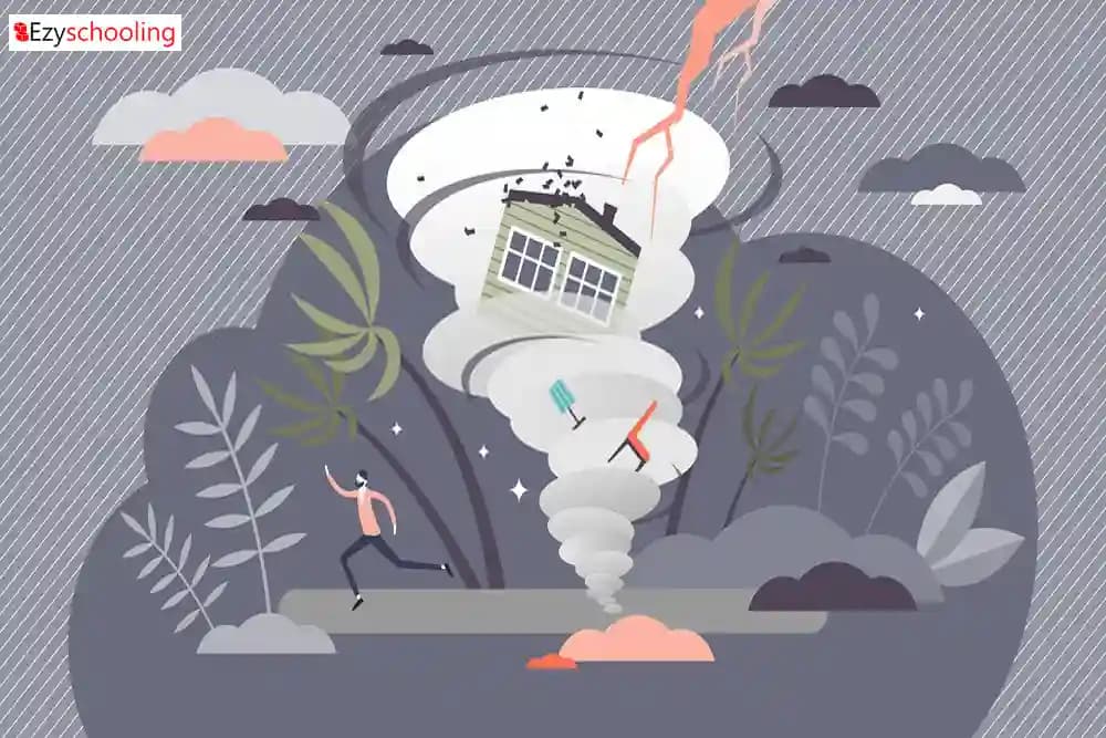 Schools in Visakhapatnam, Srikakulam Districts to Remain Closed due to Cyclone Jawad