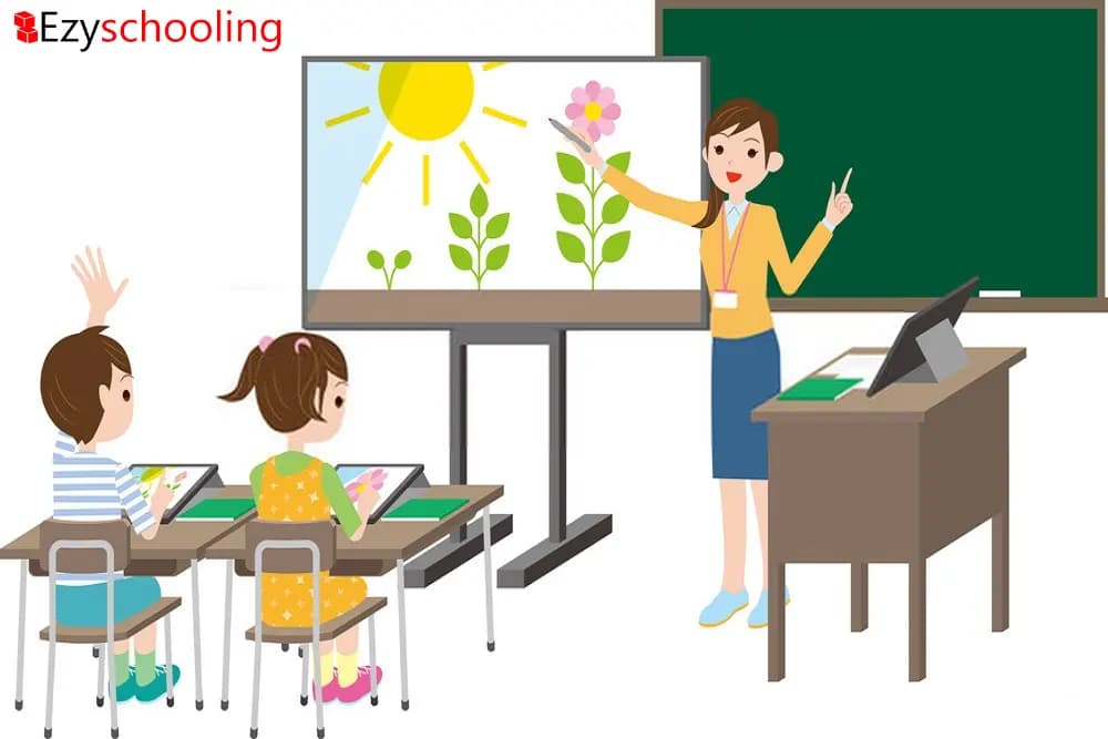 Around 40% Students Take Tuition Classes in India