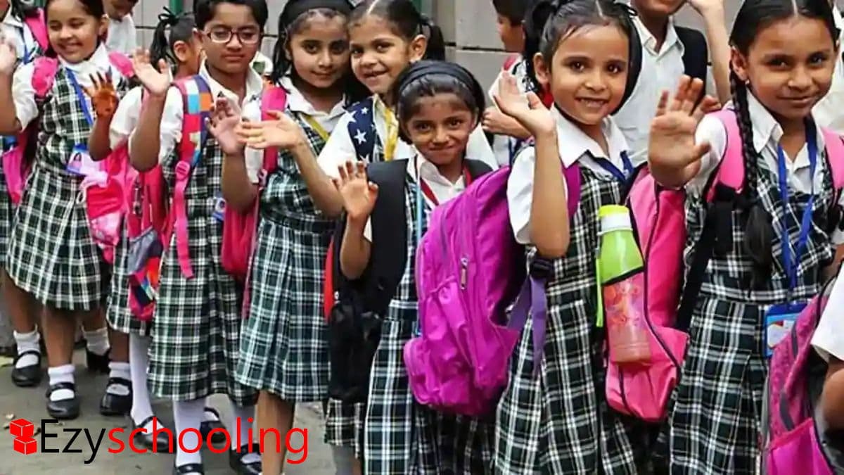 Haryana Declares Summer Vacations But Online Classes To Continue