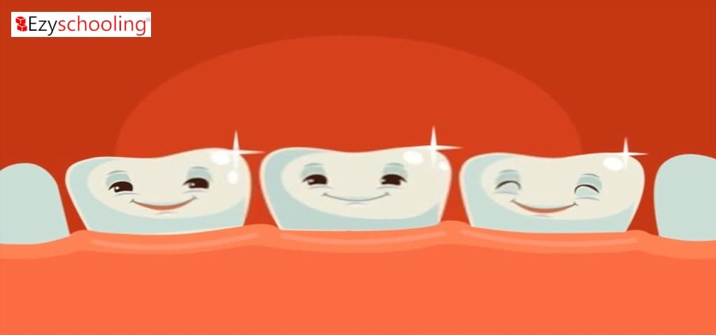 Importance of prenatal dental care for mother and her baby