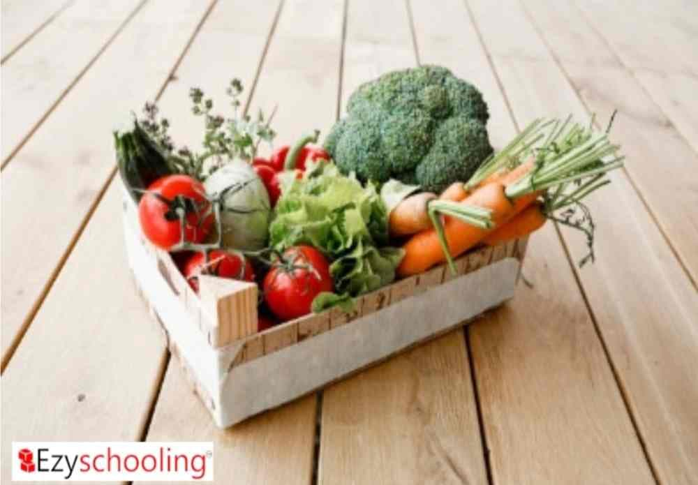 Tips from the experts about the full-day diet plan; Diabetes And Covid-19