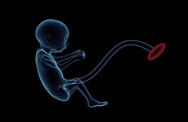 Babies In The Womb May See More Than We Thought