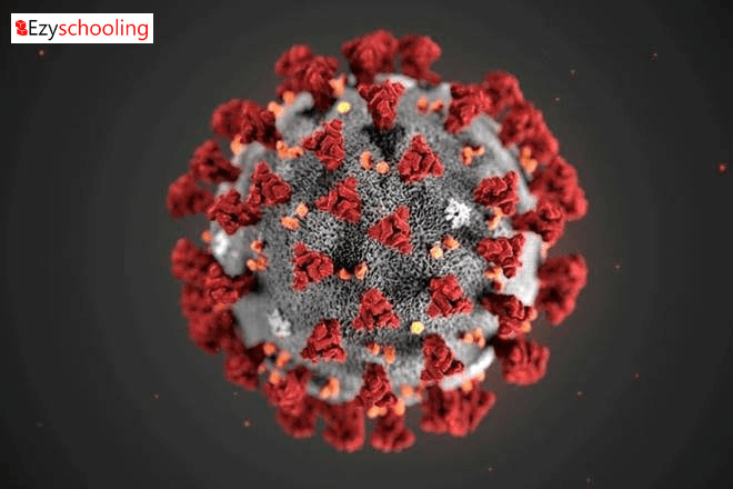 New data suggests people don’t get reinfected with the coronavirus