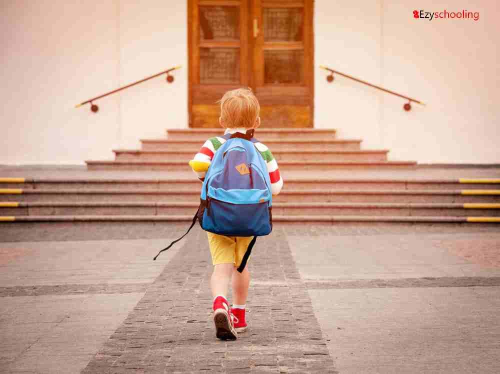 Faridabad, Charkhi Dadri and Nuh lead in enrolments at government schools