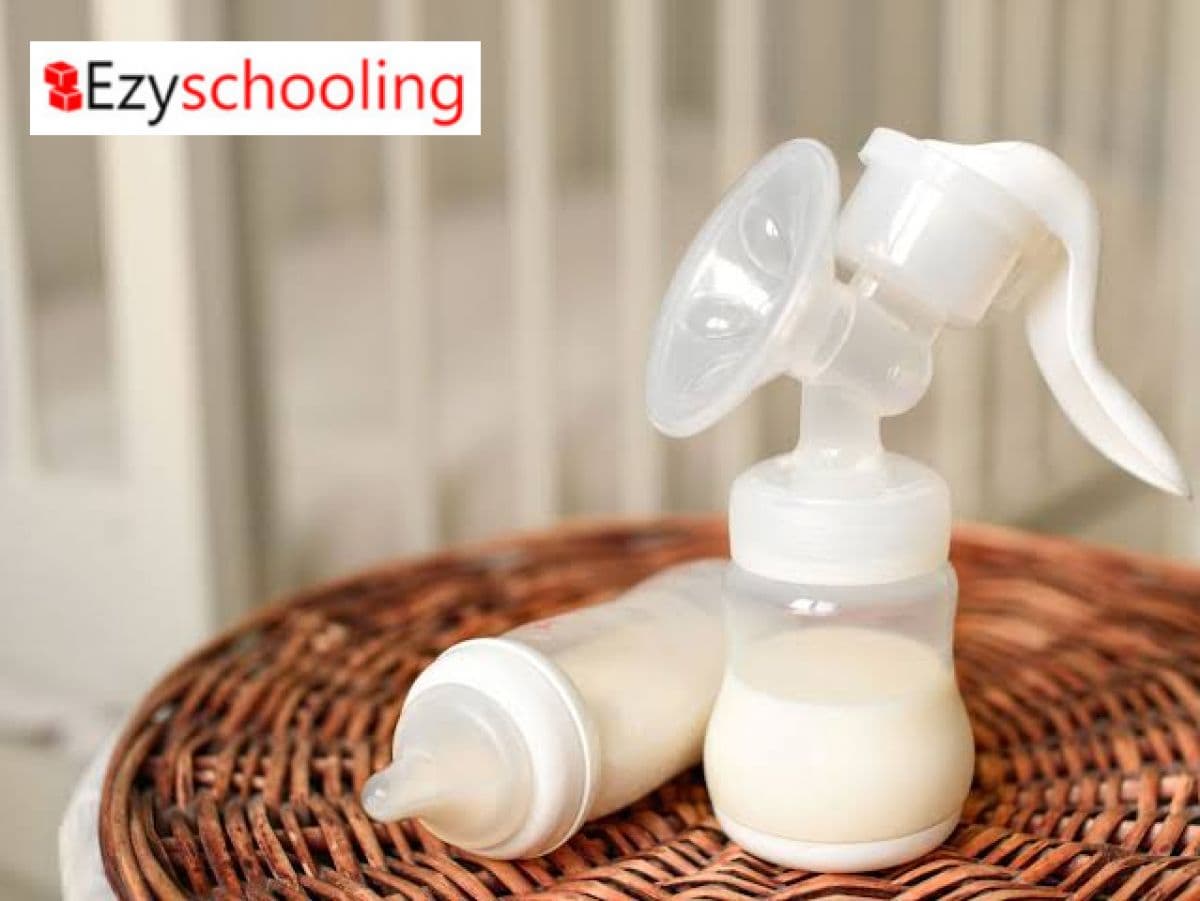 Established Ways Of Storing Breastmilk