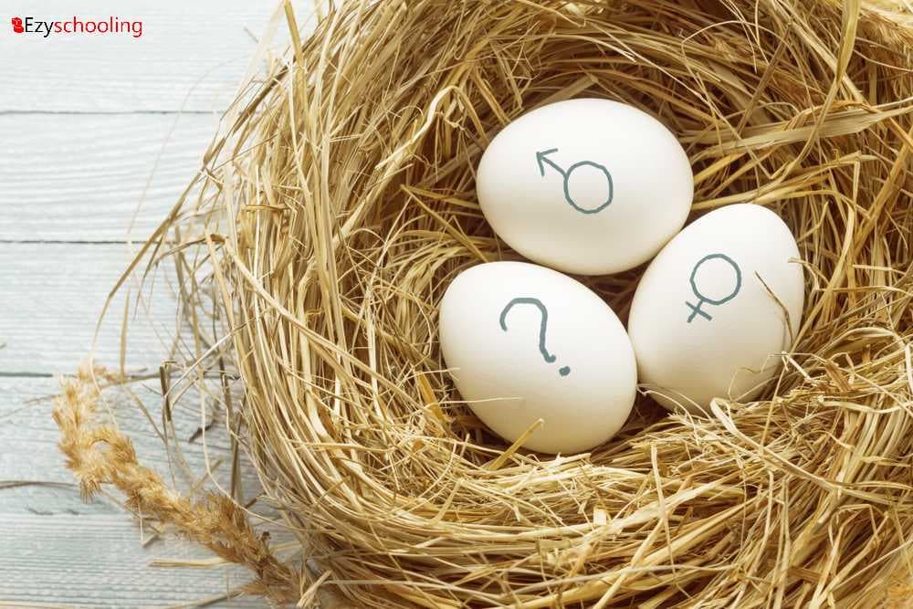 Smashing stereotypes: How gender-neutral parenting is gaining momentum in Indian families