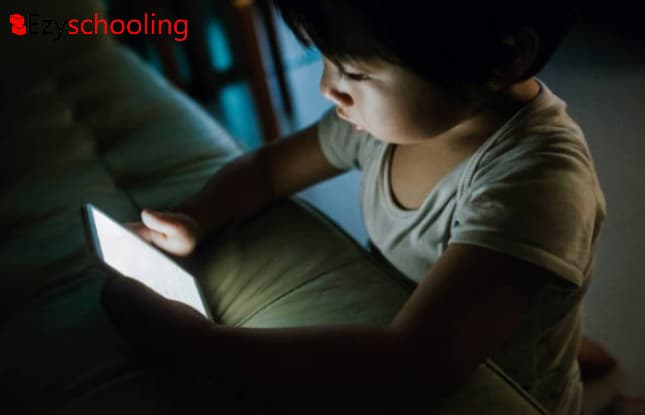 Diet For Eye Health Due To Increased Screen Time During Pandemic