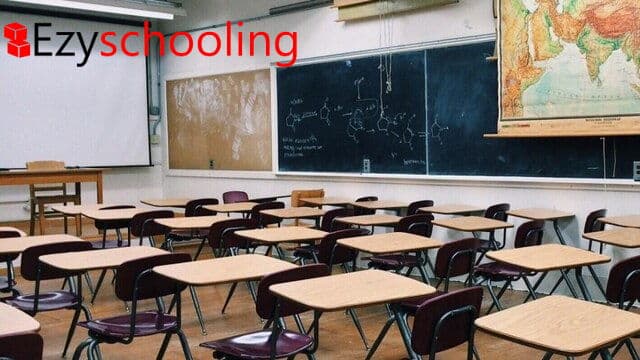 Delhi Schools Set To Continue Online Classes After The Summer Break?