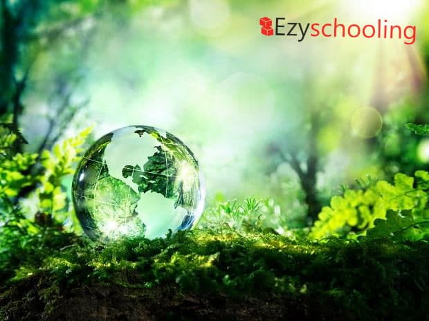 World Environment Day: The school planted five thousand saplings, this will give the message of a clean environment