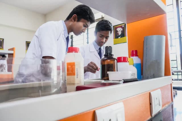 Royal Public School Gallery