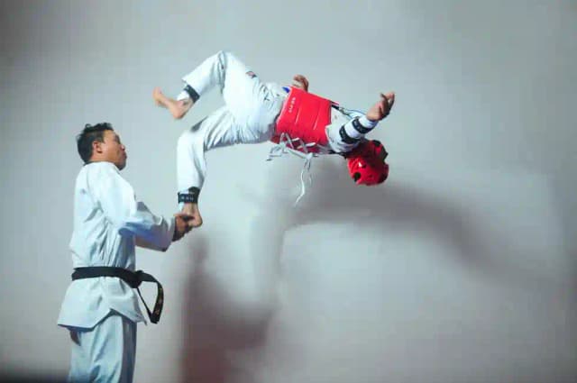 Springfield World School Gallery