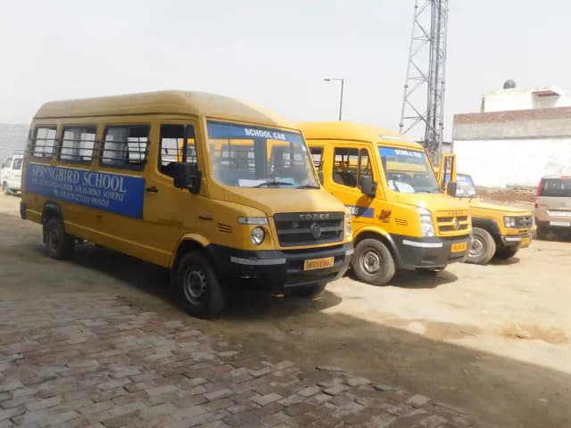 Springbird School Gallery