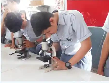 Springbird School Gallery