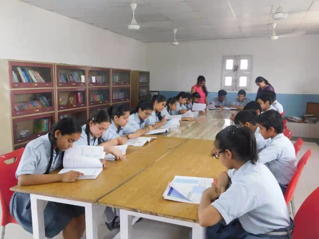 Springbird School Gallery