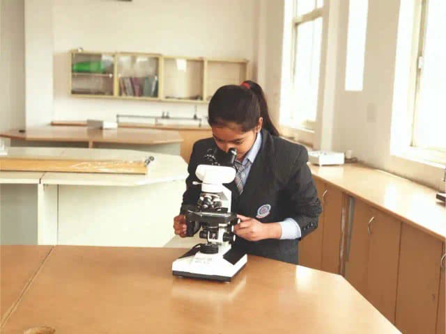 Saraswati Shiksha Sansthan Senior Secondary School Gallery