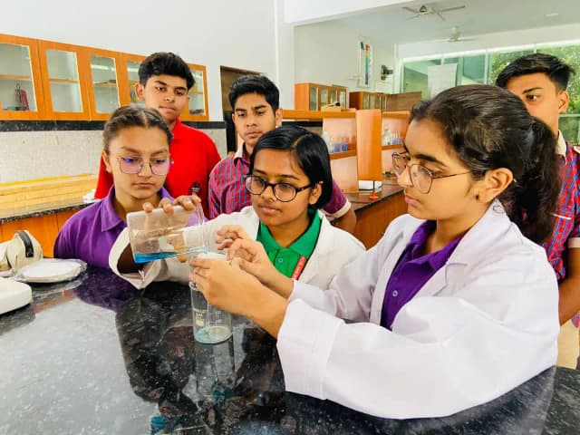 Max Merry School Gallery