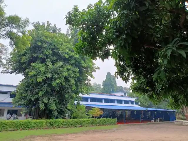 Modern English Academy Gallery