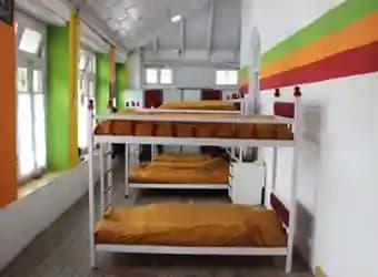 Long View Public School Gallery