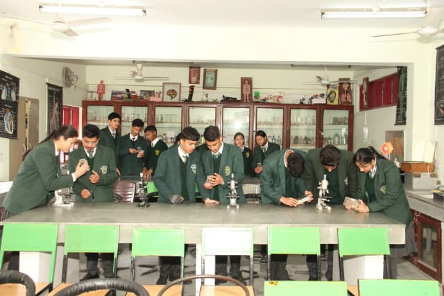 Delhi Public School Gallery