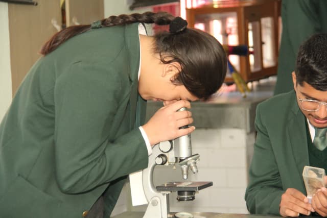 Delhi Public School Gallery