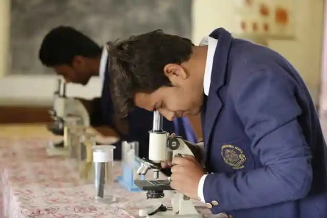 Apollo International School Gallery