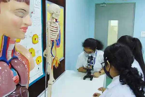 Bihani Academy Gallery