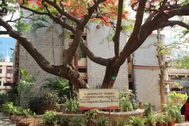 Jyoti Nivas Pre-University College Gallery