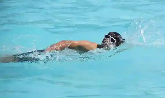 The Indian Public School Gallery