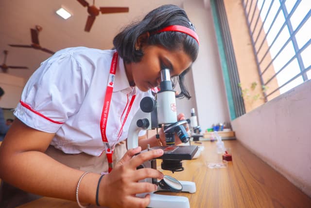 Radcliffe School Gallery