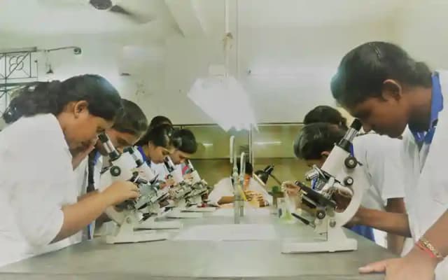 Nosegay Public School Gallery