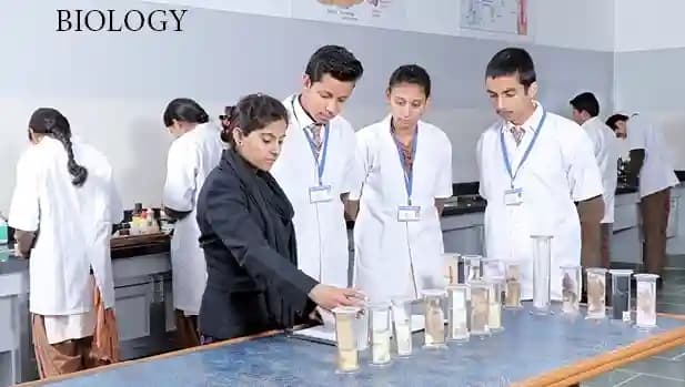 Saraswati Shikshan Sadan Convent School Gallery