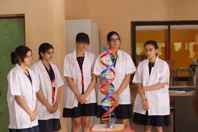 Choithram International Gallery