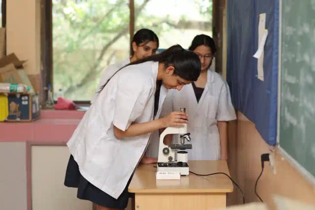 Choithram International Gallery