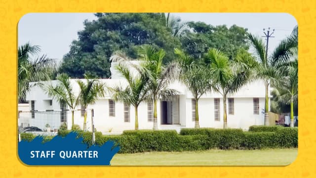 Crystal Schools Gallery