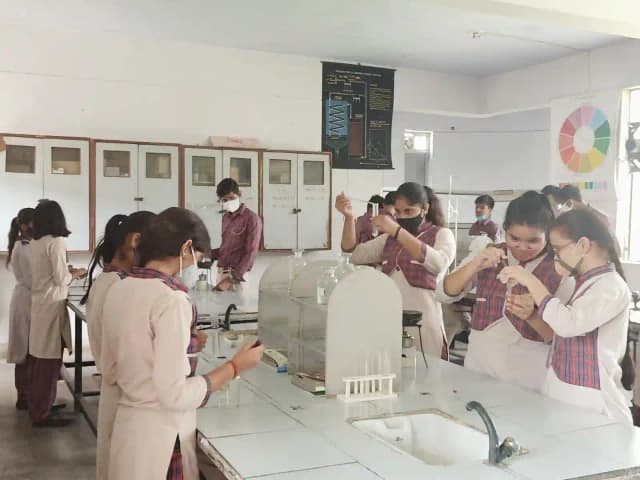 DAV Public School Gallery