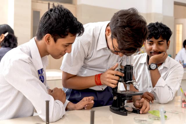 Somerville School Gallery