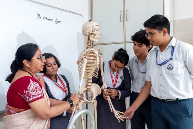 Somerville School Gallery