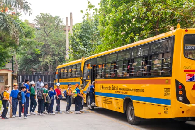 Somerville School Gallery