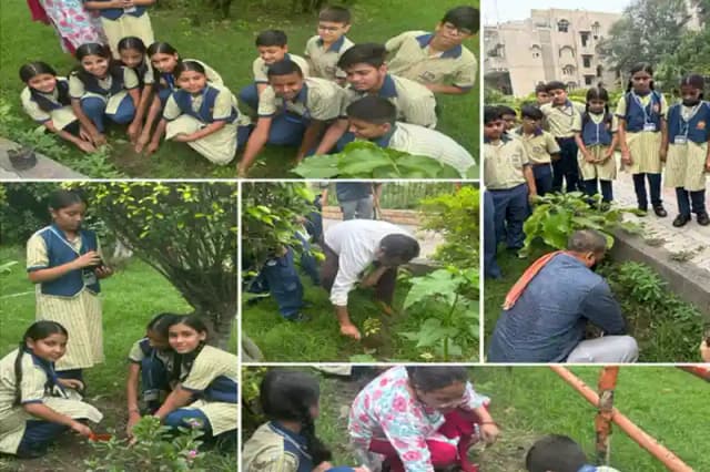 New oxford Public School Gallery