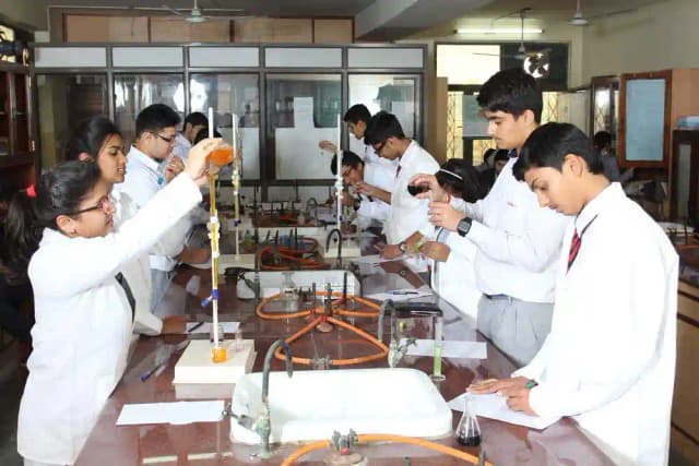 Amity International School Gallery