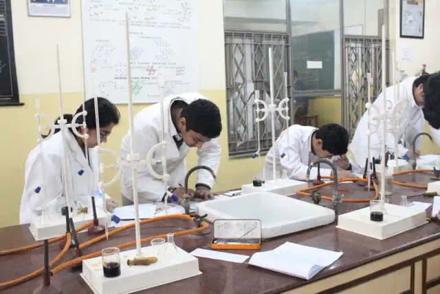 Amity International School Gallery