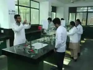 SNEH International School Gallery