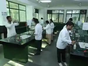 SNEH International School Gallery