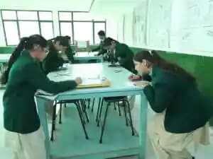 SNEH International School Gallery