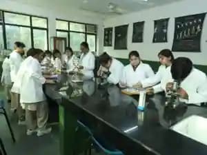 SNEH International School Gallery